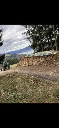 Brennholz Brennholz Esche, Buche