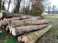Rundholz Esche
