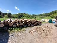 Brennholz Esche