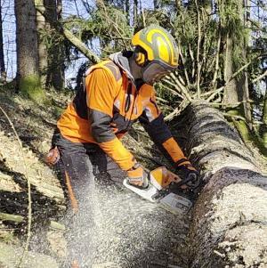 ad Höchstpreise für dein Rundholz