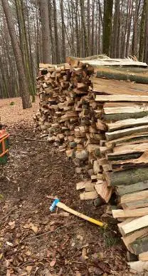 Brennholz Brennholz Buche