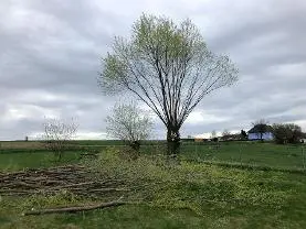 Dienstleistung Waldbetreuung Hofbauer 