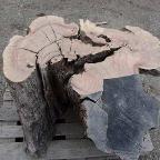 Rundholz Sonstiges Holz Olivenstamm Nr. 3 Bernbeuren