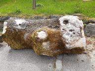 Rundholz Esche