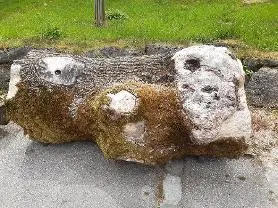 Rundholz Rundholz Esche