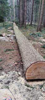 Rundholz Tanne Astrein Heidenreichstein