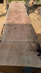 Schnittholz Eiche - Nr. 24037