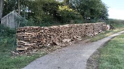 Brennholz Esche, Kirsche