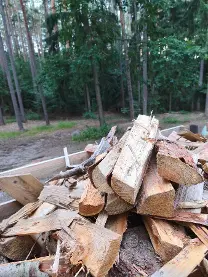 Brennholz Brennholz Fichte, Kiefer Weichholz