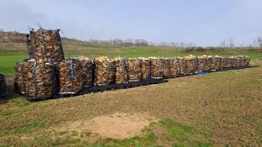 Brennholz Brennholz Buche