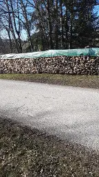 Brennholz Esche Waidhofen an der Ybbs