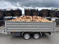 Brennholz Esche, Ahorn, Buche schön gespaltenes, trockenes Brennholz