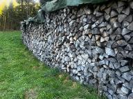 Brennholz Fichte, Buche Wald am Schoberpass