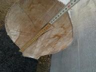 Rundholz Linde