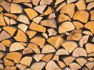 Brennholz Esche, Buche