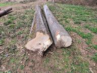 Rundholz Pappel Kemeten