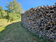 Brennholz Esche Herzogsdorf