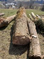 Rundholz Ahorn Taxenbach