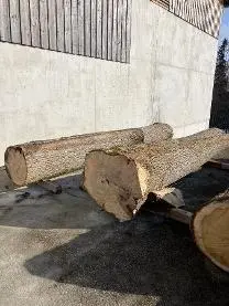 Rundholz Rundholz Esche