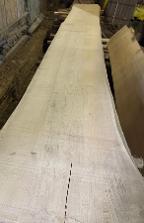 Schnittholz Esche - Nr. 24009