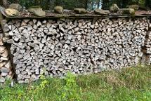 Brennholz Eiche, Kiefer, Erle Brennholz gemischt