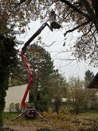 Dienstleistung Lang-Holz (Holzernte & Rückung, Baumabtragung/-pflege, Brennholz: Produktion/Handel)