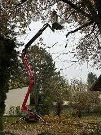 Dienstleistung Lang-Holz