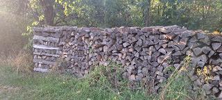 Brennholz Esche