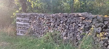Brennholz Brennholz Esche
