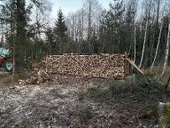 Brennholz Fichte Premstätten