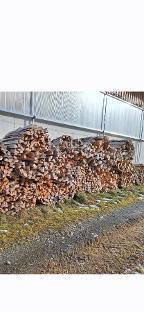 Brennholz Fichte Pusterwald
