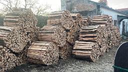 Brennholz Esche, Eiche, Buche