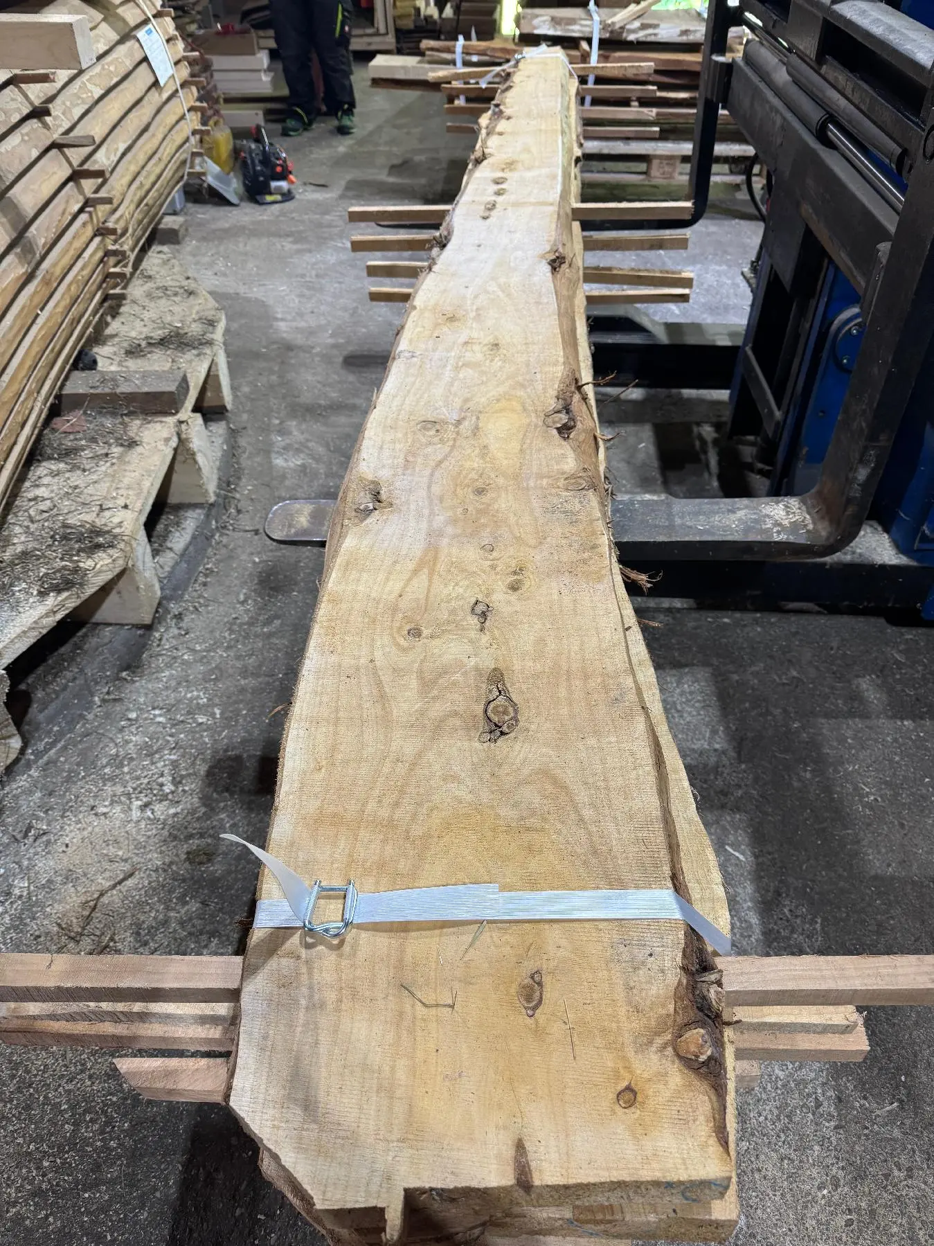 Sonstiges Holz Thuja - Nr. 24011