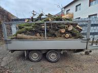 Rundholz Eiche Eiche