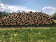 Forstservice Ziegler  (Forstliche Beratung & Planung, Holzlogistik, Holzernte & Rückung, Holzvermarktung) Schondra 