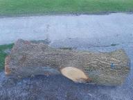 Rundholz Eiche Lambrechten