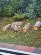 Rundholz Fichte Astrein