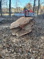 Rundholz Eiche Brennholz 4m