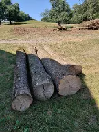 Rundholz Eiche Pühret