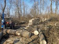 Brennholz Esche, Ahorn Ranshofen