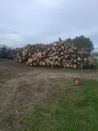 Rundholz Esche Groß-Enzersdorf