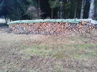 Brennholz Esche Rainbach 