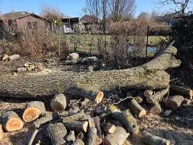 Rundholz Rundholz Nuss