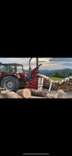 Brennholz Esche, Buche