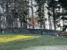 Brennholz Brennholz Esche, Eiche