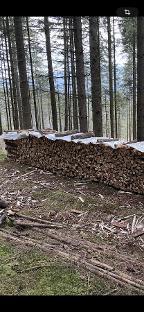 Brennholz Fichte, Kiefer