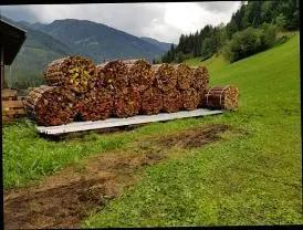 Brennholz Brennholz Fichte, Birke, Europäische Lärche gespalten