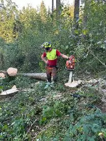 Dienstleistung Wald- und Grünraumpflege Schliefnig