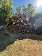 Rundholz Sonstiges Holz Misch hart Hölzer Eiche Buche Kirsche Birke rubini Gelsenkirchen