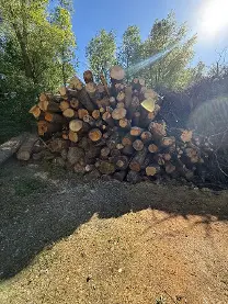 Rundholz Rundholz Sonstiges Holz Misch hart Hölzer Eiche Buche Kirsche Birke rubini